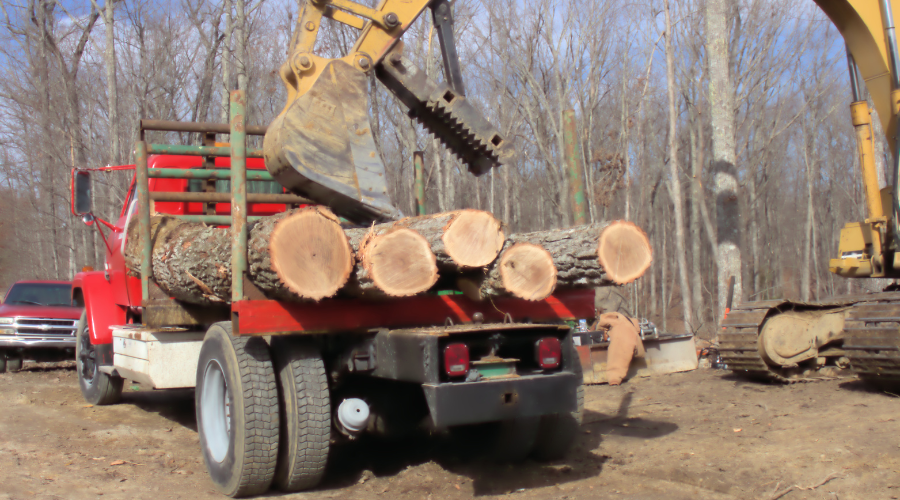 Taking timber to the mill. Forest management, land clearing