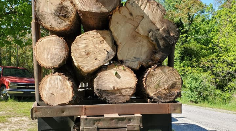 Cut timber ready for the mill. Loggers, logging, crawford tn, forest management, select-cut logging