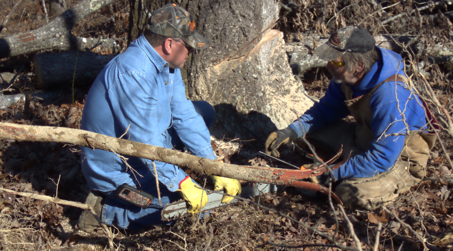 Logging Trees: A Dangerous Job, forestry, forestry management, tree loggers, logging trees, dangerous job, log removal service, walnut tree buyers, tree log removal, miller farms, overton county, TN, tennessee