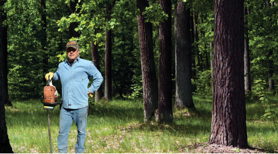 Logging Trees: A Dangerous Job, forestry, forestry management, tree loggers, logging trees, dangerous job, log removal service, walnut tree buyers, tree log removal, miller farms, overton county, TN, tennessee