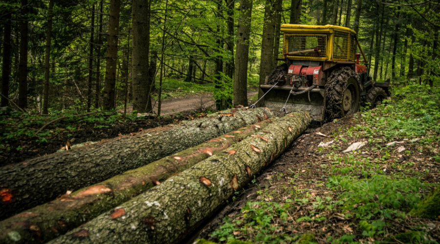 Harvesting Harmony: Balancing Nature and Logging Operations, sustainable logging, miller farms, overton county, tennessee, tn, overton county tn, select-cut logging