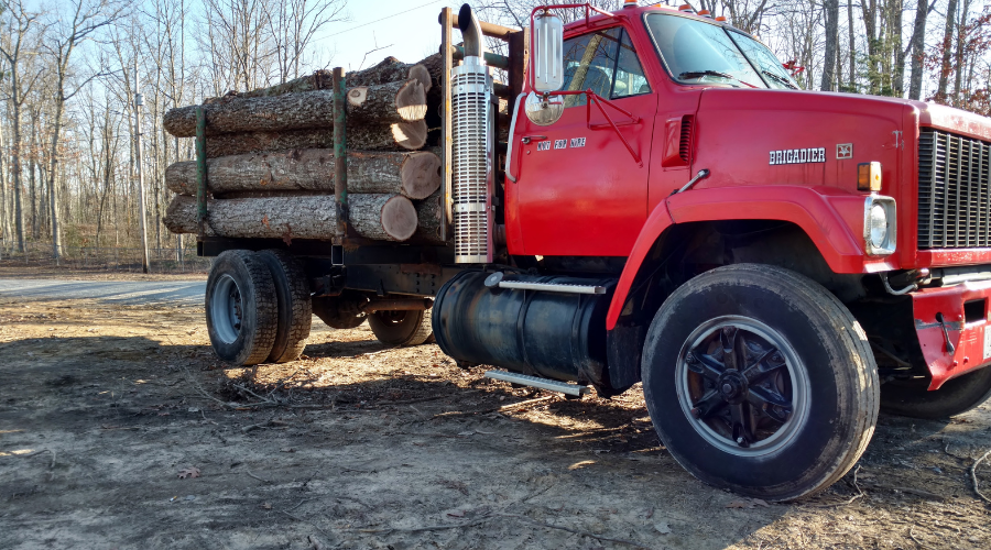 The Journey of a Tree: Truck loaded and ready to take logs to the mill.