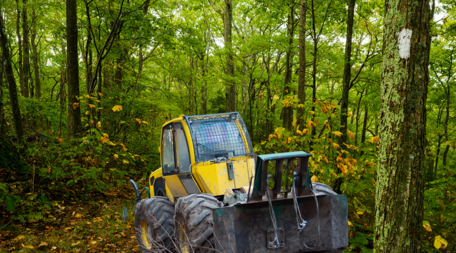 Logging skidder on a logging road in the forest.