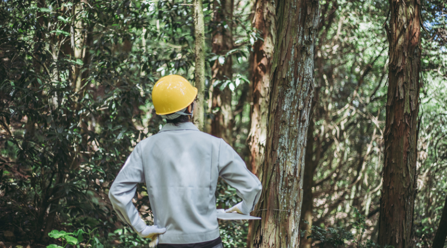 debunk logging myths, logging myths, logging lies, millerfarmstn, miller farms, sustainable logging, family-run logging business